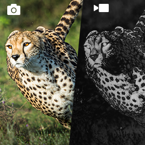 binocolo di visione notturna